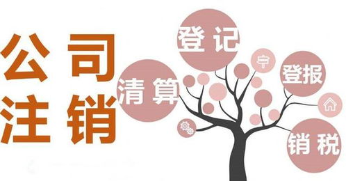 成都網(wǎng)絡(luò)文化經(jīng)營許可證代辦 個體戶注冊辦理